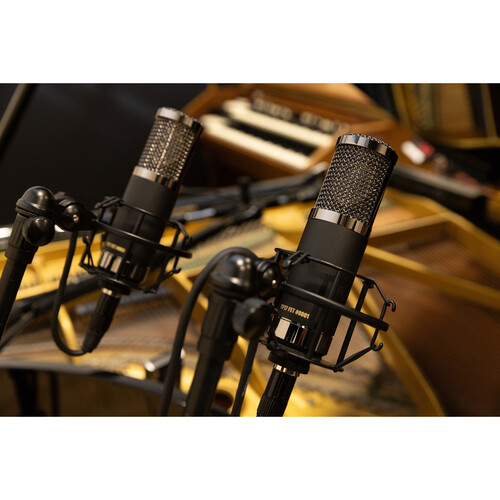 Telefunken TF17 Legendario microfono con sonido aleman - Imagen 8