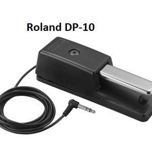 Roland DP-10 Pedal de Sustain